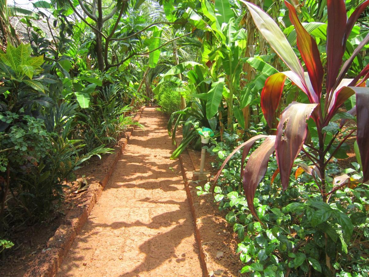 Namaste Yoga Farm Villa Gokarna  Bagian luar foto