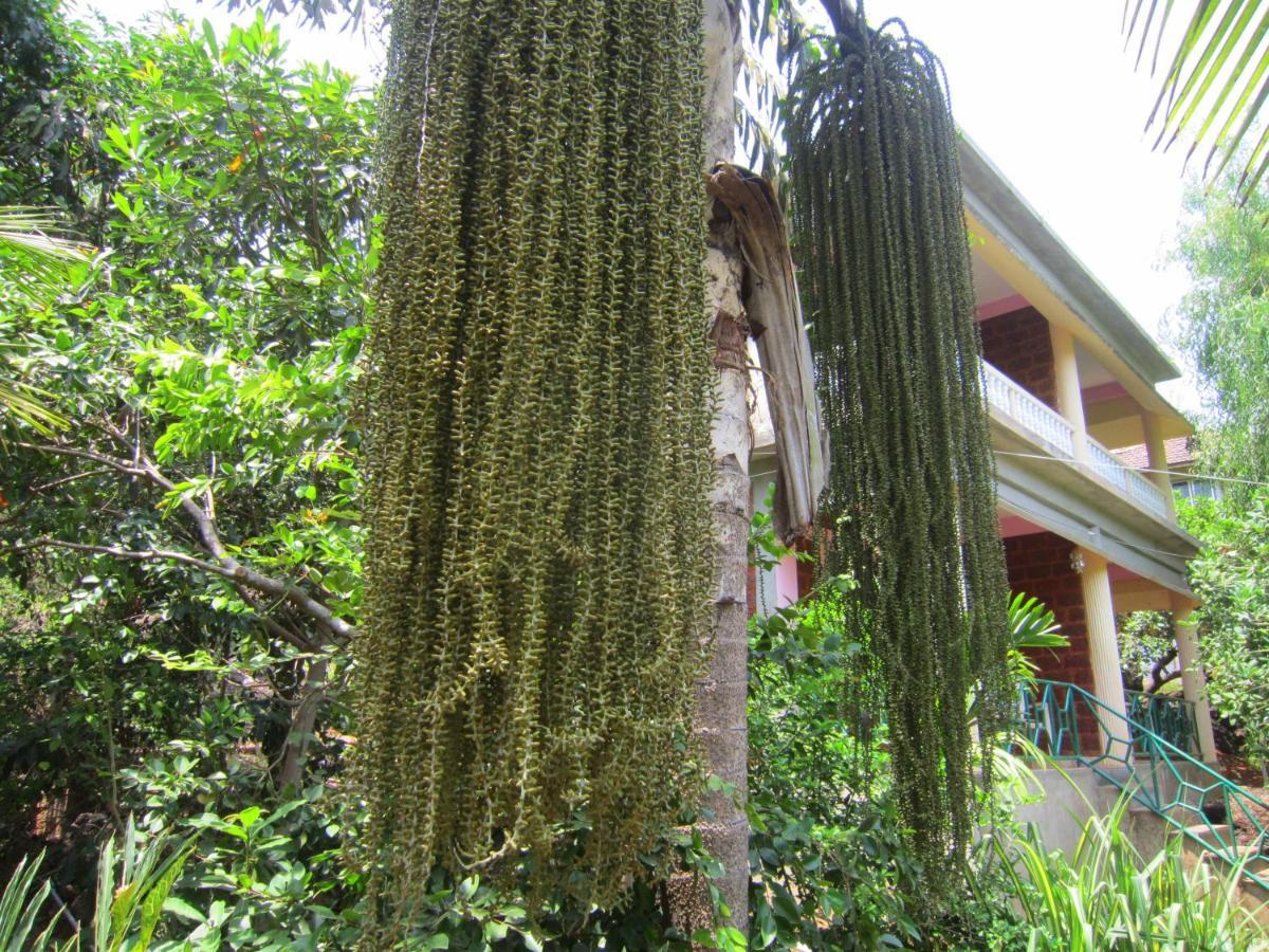 Namaste Yoga Farm Villa Gokarna  Bagian luar foto